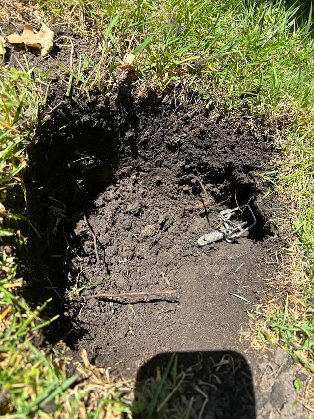 California Exterminating Service — photo from the business 1
