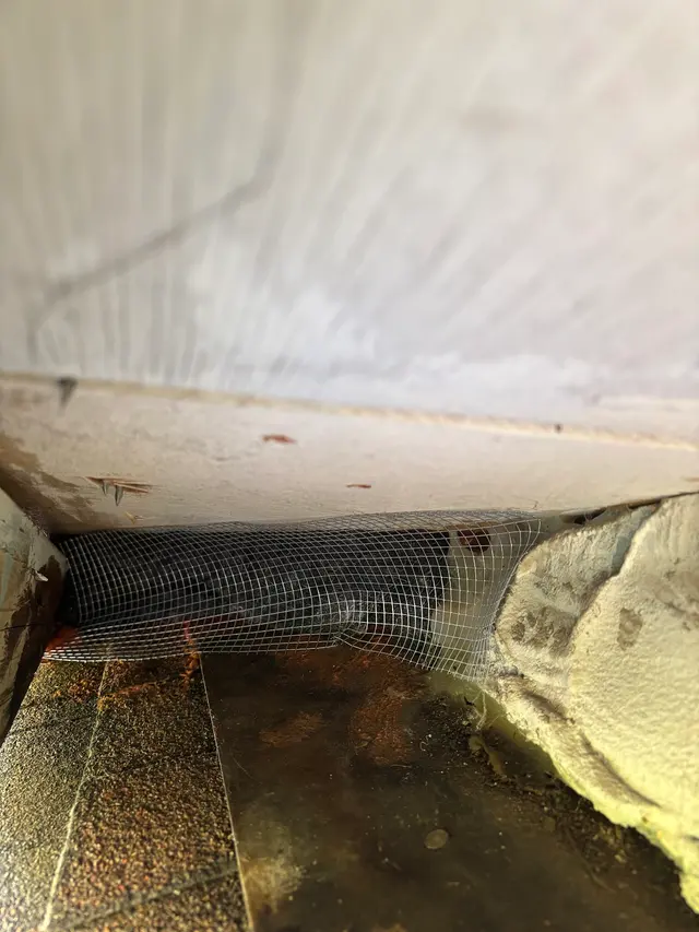 California Exterminating Service — photo from the business 10