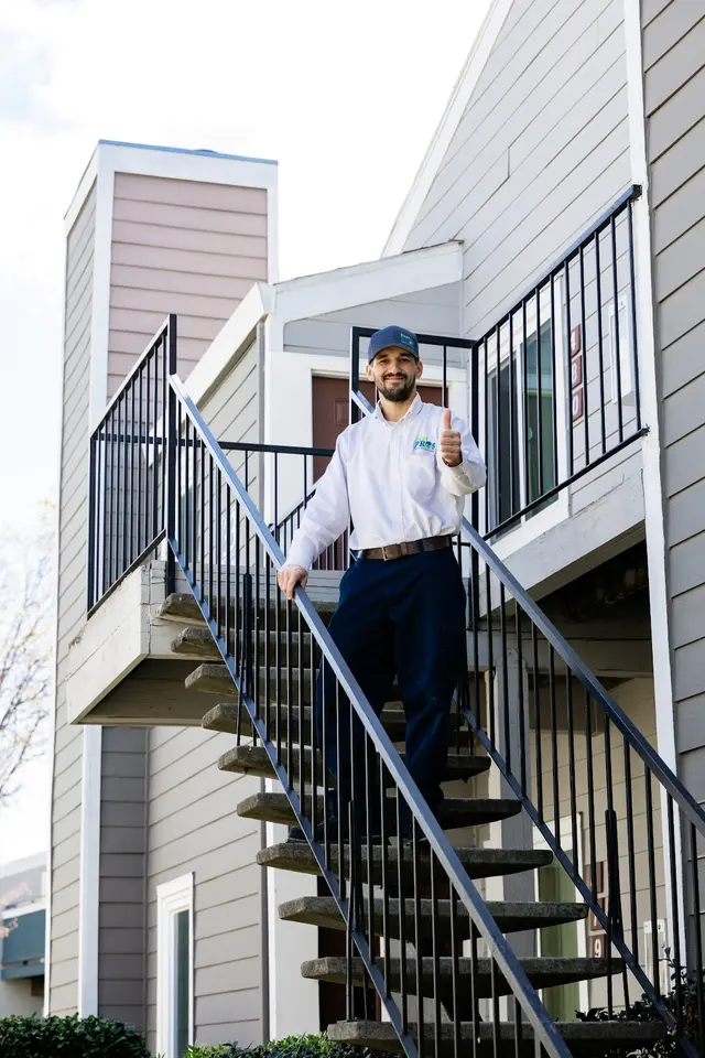 Pest Pros Pest Solutions — photo from the business 3