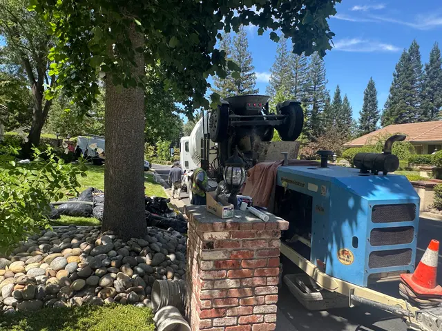 Honest Rodent Proofing Inc — photo from the business 4
