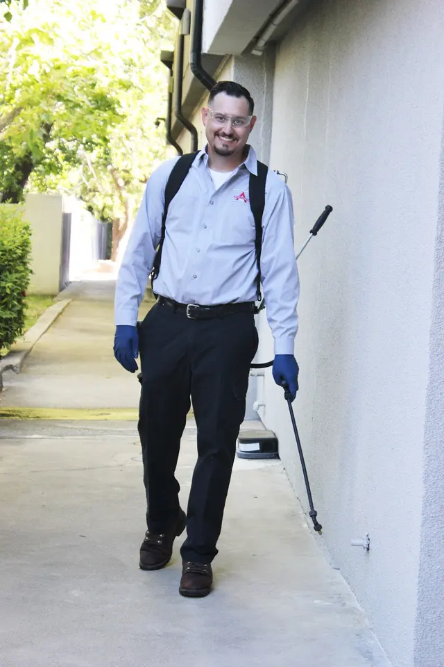 Advanced Integrated Pest Management — photo from the business 3