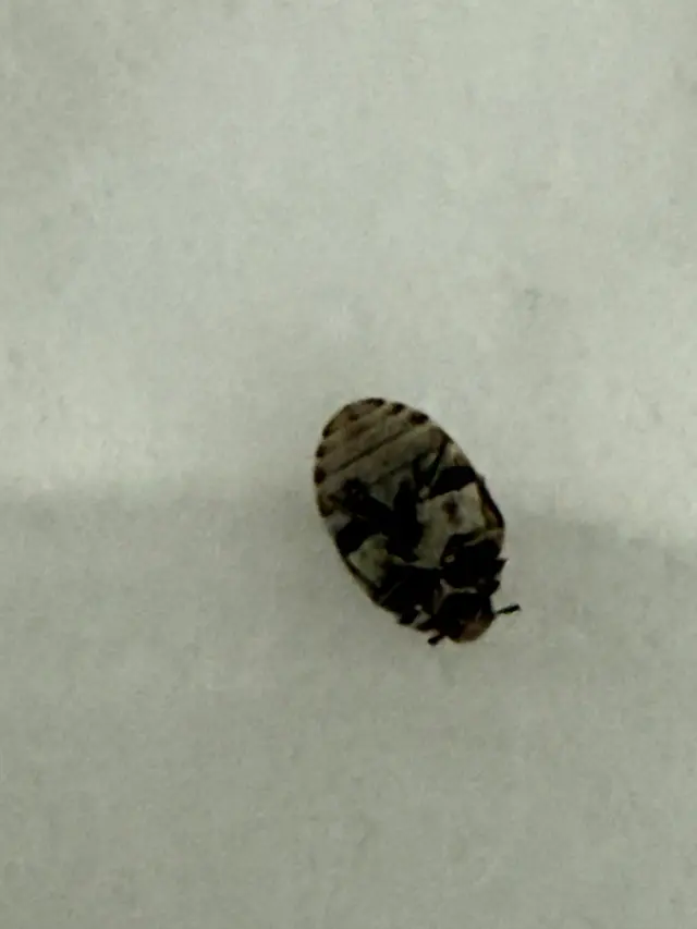 Advanced Integrated Pest Management — customer photo 6