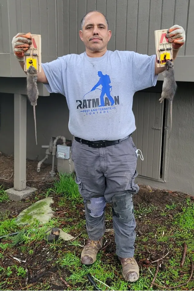 Ratman Pest and Termite Control — photo from the business 10