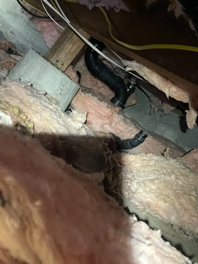 Ratman Pest and Termite Control — photo from the business 8