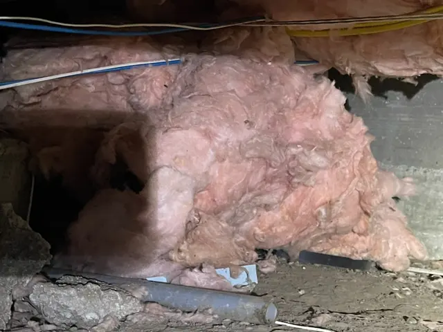 Ratman Pest and Termite Control — photo from the business 7