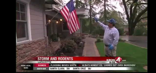 Ratman Pest and Termite Control — photo from the business 5