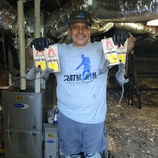 Ratman Pest and Termite Control — customer photo 4