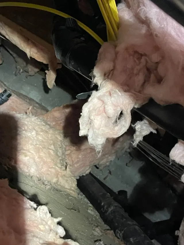 Ratman Pest and Termite Control — photo from the business 6
