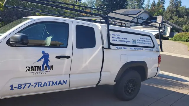 Ratman Pest and Termite Control — photo from the business 2