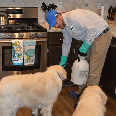 EcoGuard Pest Management — photo from the business 6