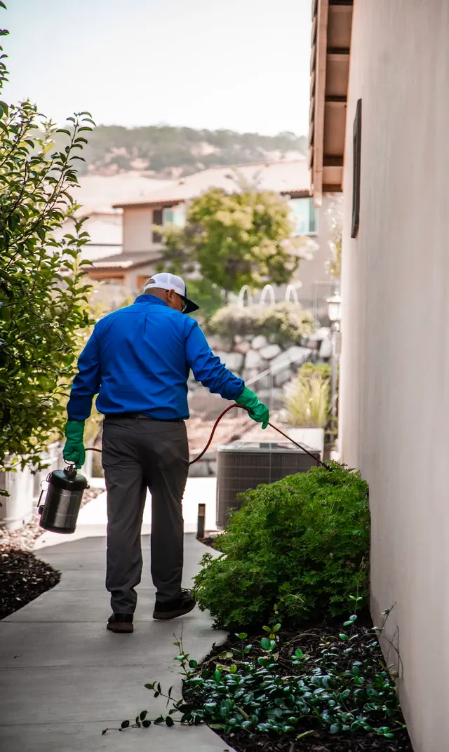 EcoGuard Pest Management — photo from the business 5