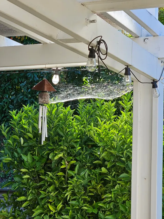 EcoGuard Pest Management — customer photo 8