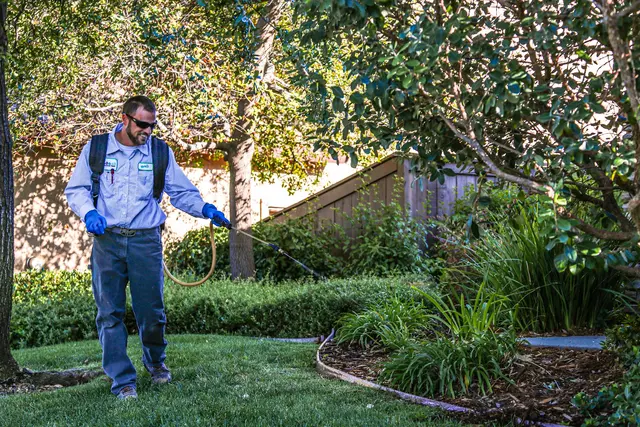 EcoGuard Pest Management — photo from the business 3
