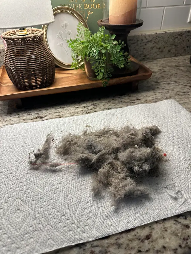 Customer photo of work by Nooga Home Cleaning, from Alyssa Rowe's review