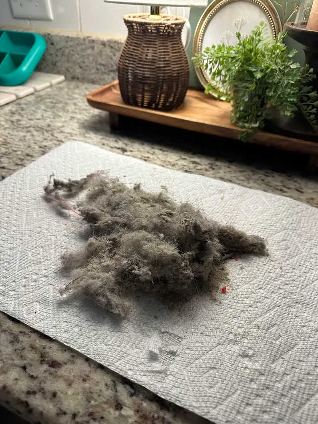 Customer photo of work by Nooga Home Cleaning, from Alyssa Rowe's review