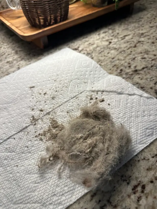 Customer photo of work by Nooga Home Cleaning, from Alyssa Rowe's review