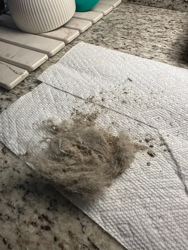 Customer photo of work by Nooga Home Cleaning, from Alyssa Rowe's review
