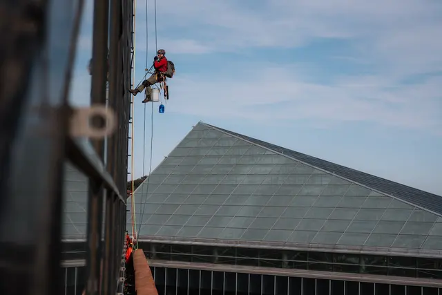 True Shine Window Washers — photo from the business 3