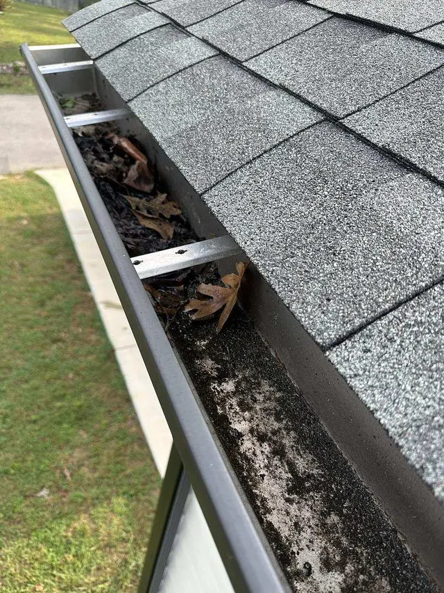 AllPro Exterior Cleaning — customer photo 8
