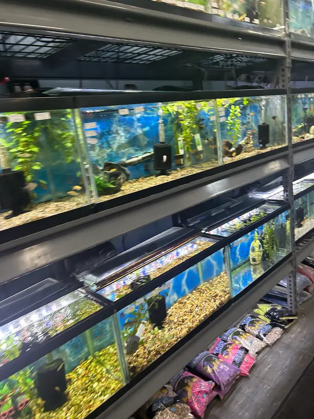 Garden Stop — customer photo 2