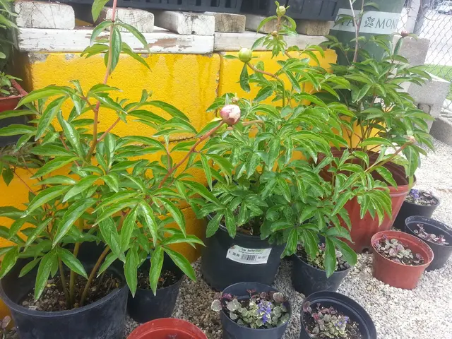 Garden Stop — photo from the business 10