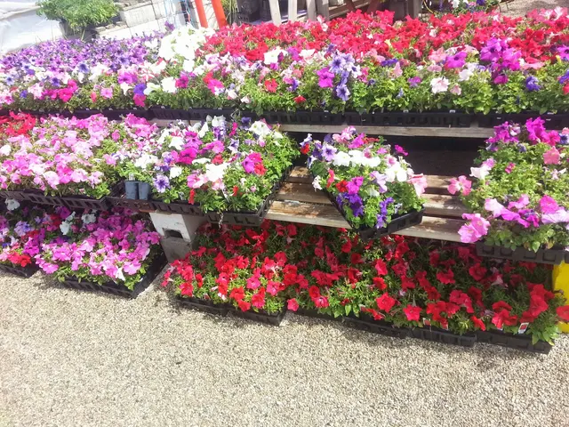 Garden Stop — photo from the business 6