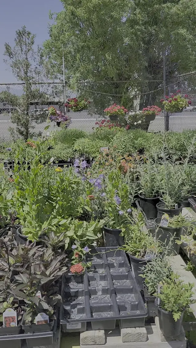 Customer photo of work by Garden Stop, from Michael Hunter's review