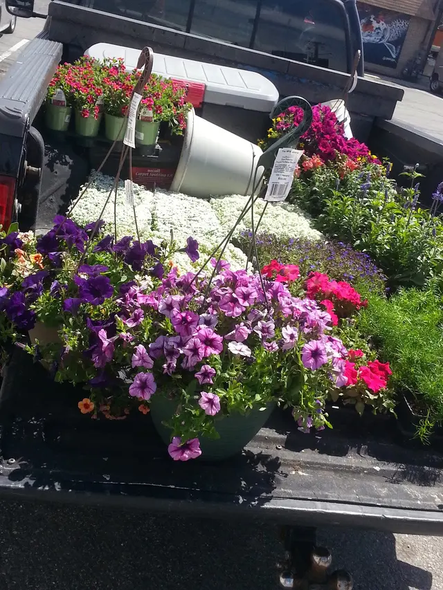 Garden Stop — photo from the business 9