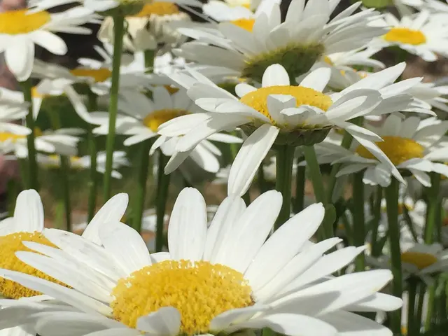 Garden Stop — photo from the business 12