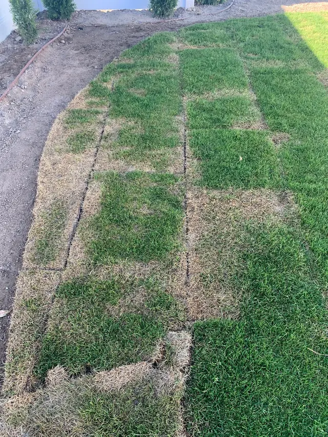 Top Sprinkler Repair LLC — customer photo 10