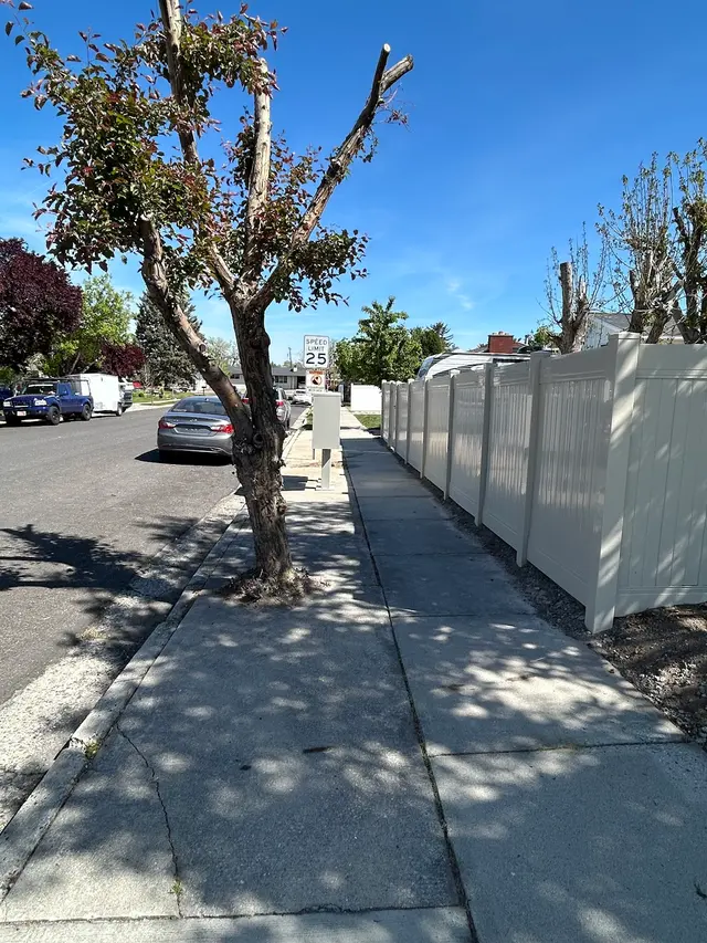 Excel Lawn Care & Landscape Inc. — photo from the business 12