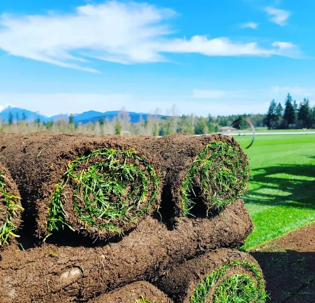 Mark's Lawn and Garden Supply — photo from the business 4