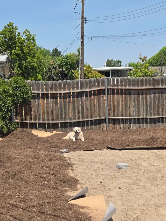 Customer photo of work by Mark's Lawn and Garden Supply, from Ashley Secreto's review