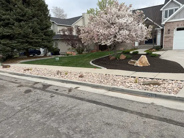 ROMERO LANDSCAPING SERVICES LLC — customer photo 5