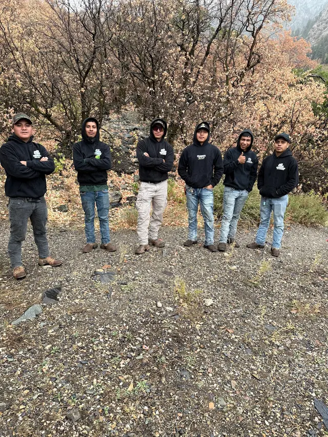 ROMERO LANDSCAPING SERVICES LLC — photo from the business 1