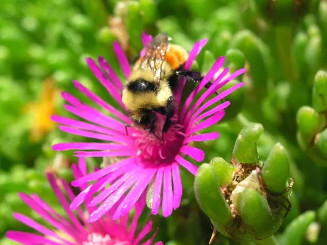 Conservation Garden Park — photo from the business 12