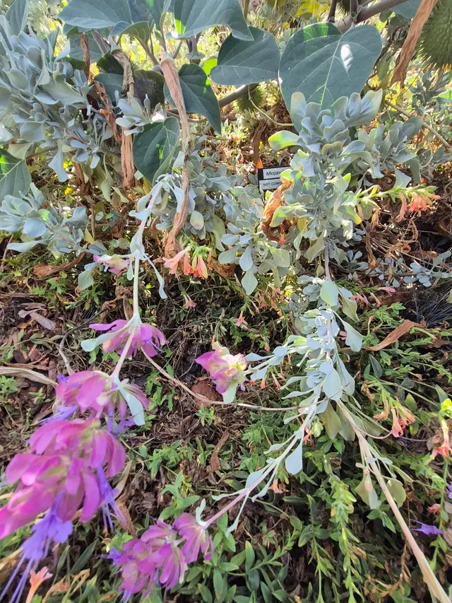 Customer photo of work by Conservation Garden Park, from Kendra Yates's review