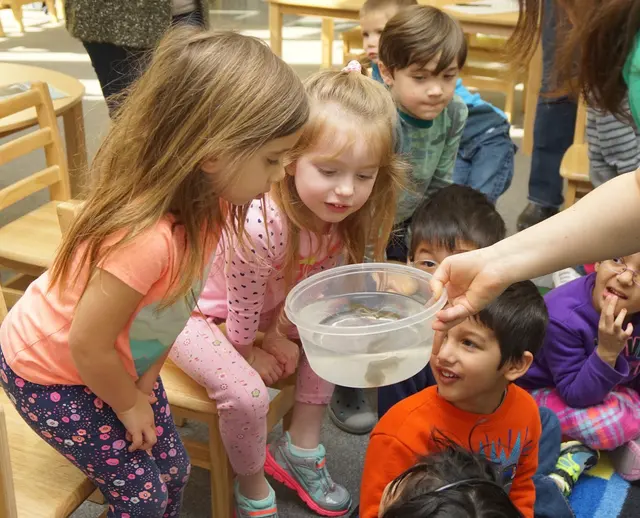 Discovery Child Development Center — photo from the business 1