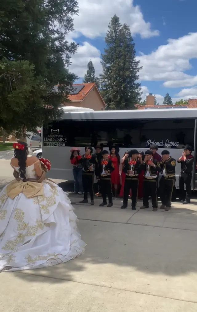Magic World Limousine - Limousine & Party Bus — customer photo 6