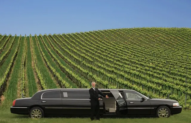 Vip Transportation — photo from the business 8