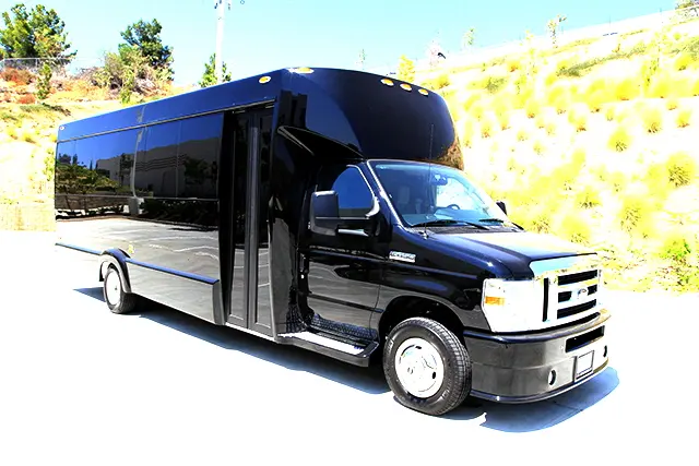 Vip Transportation — photo from the business 3