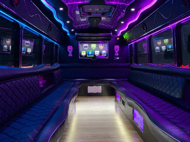 Vip Transportation — photo from the business 6