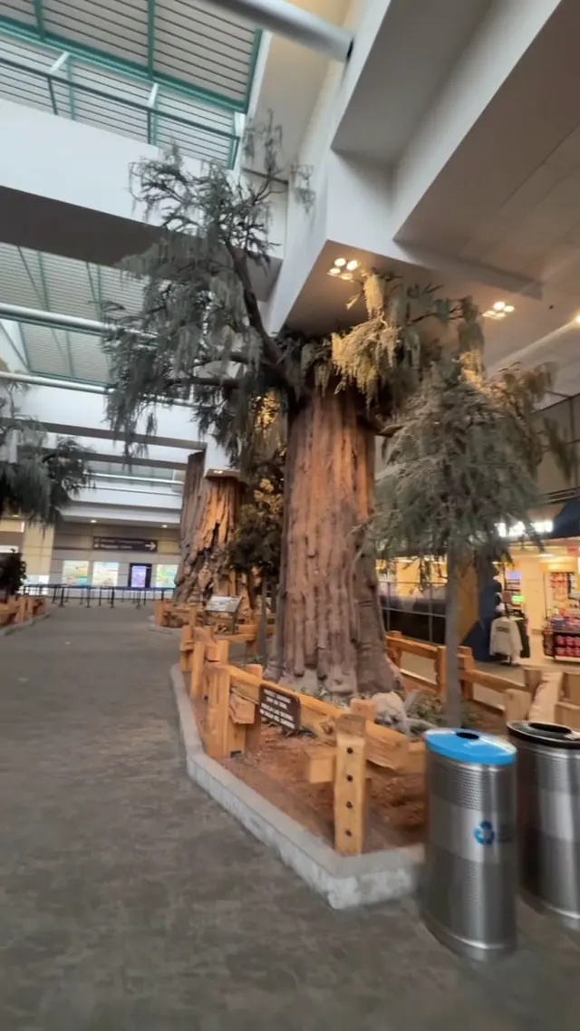 Fresno Yosemite International Airport Long Term Parking — customer photo 3