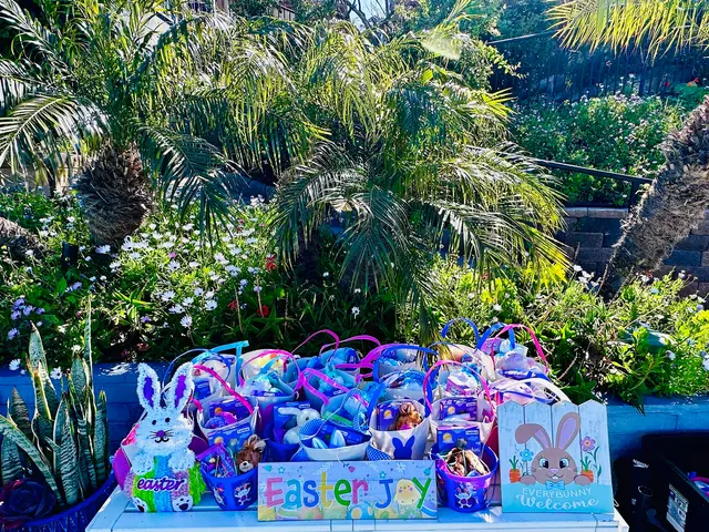 Safe Swim Academy - Swim School in Mission Valley — photo from the business 10