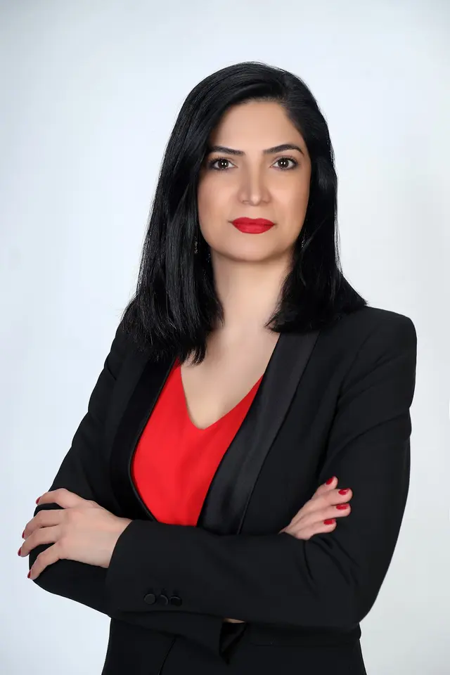 Sadri Law, P.C. — photo from the business 4