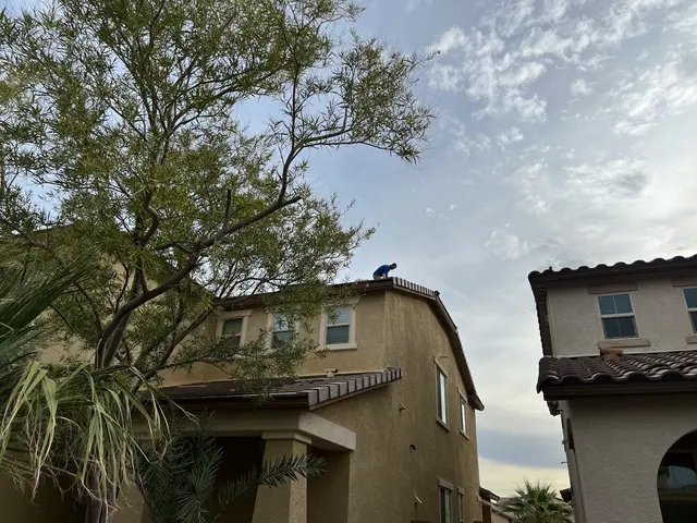 Rowan Solar Cleaning & Critter Guard — customer photo 5