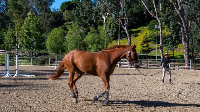 Nellie Gail Ranch Equestrian Center — customer photo 4
