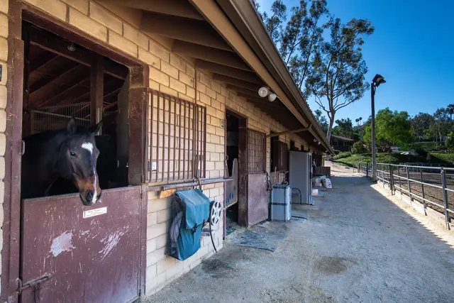 Nellie Gail Ranch Equestrian Center — customer photo 3