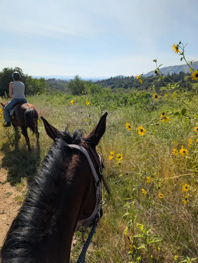 Marshall Canyon Equestrian Center — customer photo 4