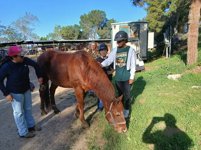 Marshall Canyon Equestrian Center — customer photo 11